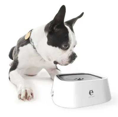 NO-SPILL PET WATER BOWL