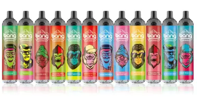 E-CIGARETTE - BANG 6,000 PUFFS VAPORIZER