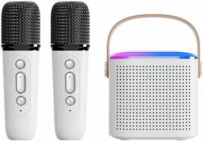 MICVISTA® WIRELESS BLUETOOTH KARAOKE SET
