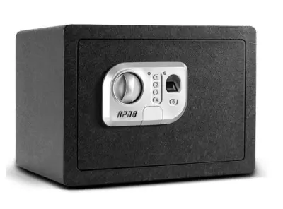 RPNB™ BIOMETRIC SECURITY SAFE
