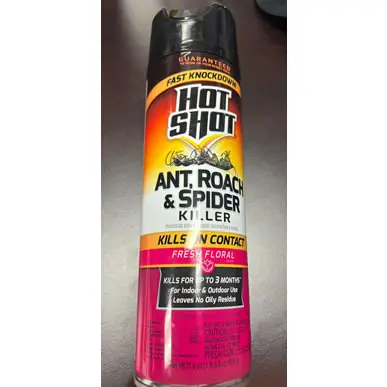 HOT SHOT® ANT, ROACH AND SPIDER KILLER